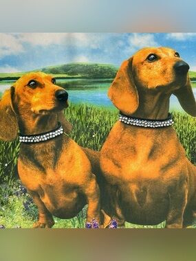 NWT Dachshund Purse Rhinestone Collars